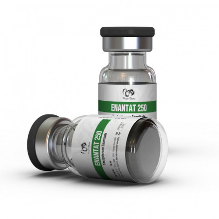 Enantat 250 Testosterone Enanthate 250mg/ml 10ml